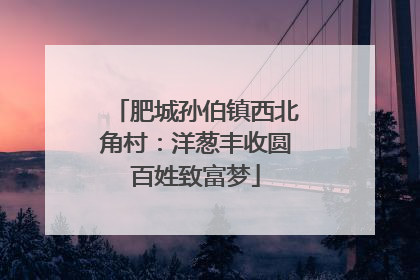 肥城孙伯镇西北角村：洋葱丰收圆百姓致富梦